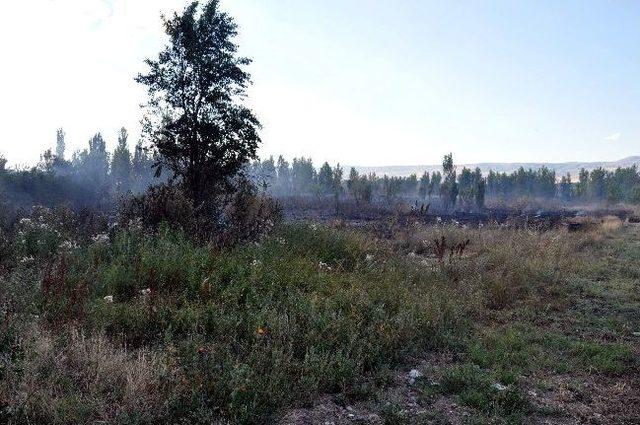 Eskişehir'de Ot Yangını Korkuttu