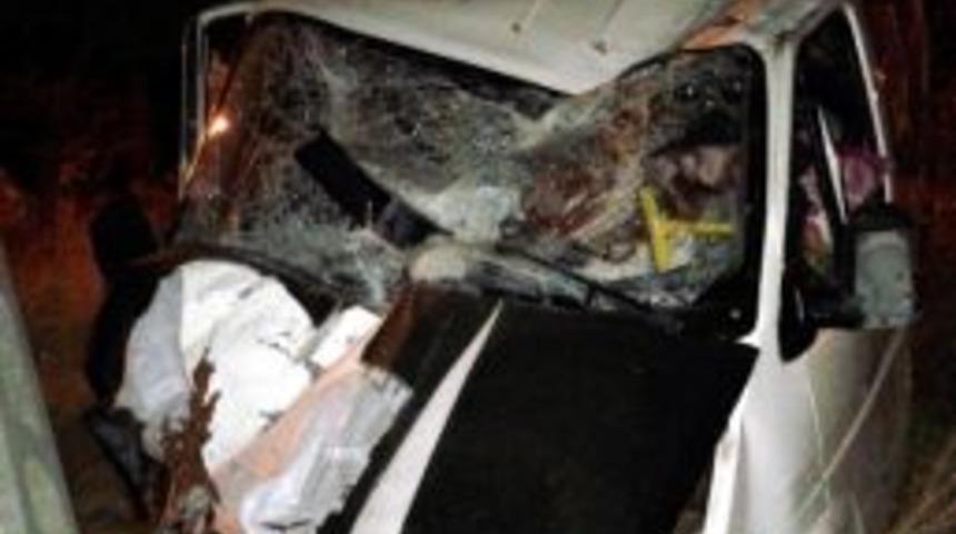 Minibüse Giren Kediler Kazaya Neden Oldu: 2 Yaralı