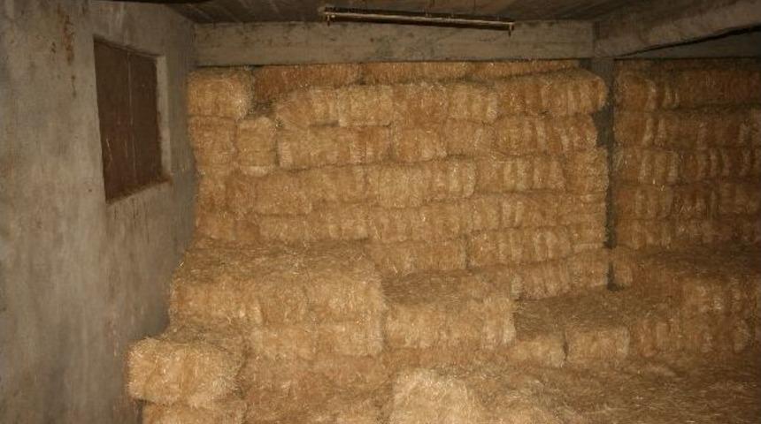 (&ouml;zel Haber) 500 Balya Saman Nakliyeye Takıldı