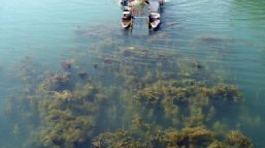 Seyhan Nehri &Ouml;zel Ara&ccedil;larla Temizleniyor