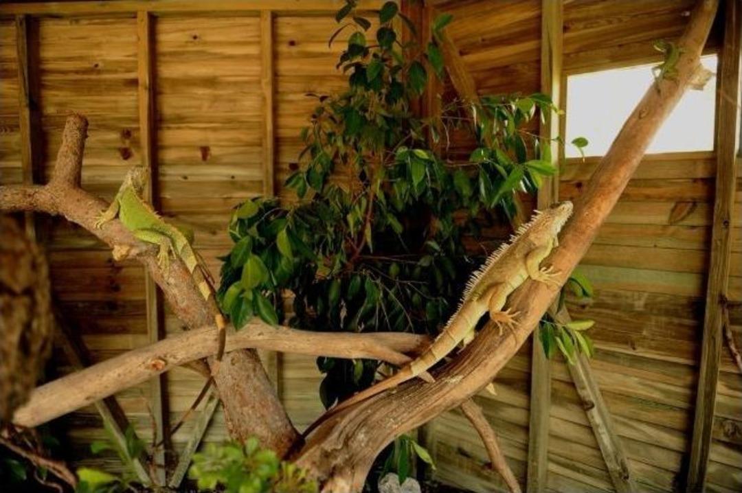 Tay Park Ailesi Genişliyor