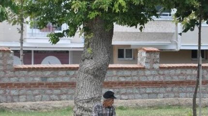 Kırklareli'de Sıcak Hava Bunaltıyor