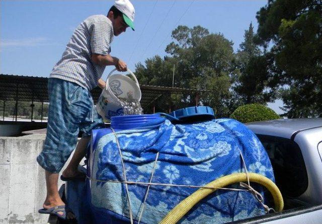 Hatay'da Göletlere 40 Bin Sazan Balığı Yavrusu Bırakıldı