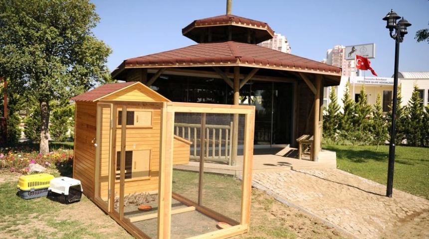 &Ccedil;ocuklara Hayvan Sevgisi Aşılayabilmek I&ccedil;in Tay Park Kuruldu