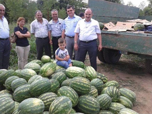 Kayıkçılar Köyünde Karpuz Yetiştiriciliği