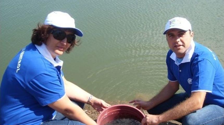 Burdur Göletlerine 30 Bin Pullu Sazan Bırakıldı