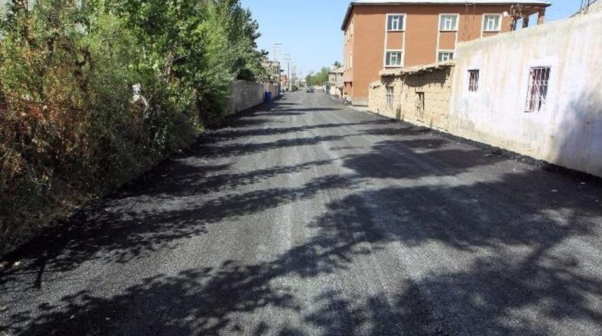 Van Belediyesi&rsquo;nden Hummalı &Ccedil;alışma