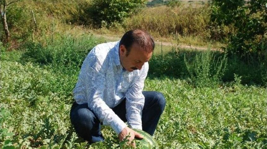 Başkan Doğan, Köylerde