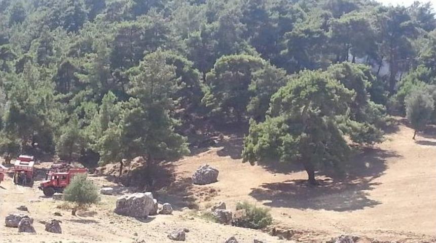 Manisa&rsquo;da Orman Yangını