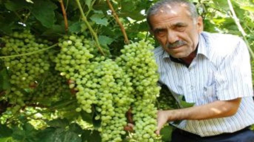 &Uuml;z&uuml;mde İla&ccedil; Kalıntısına Dikkat!