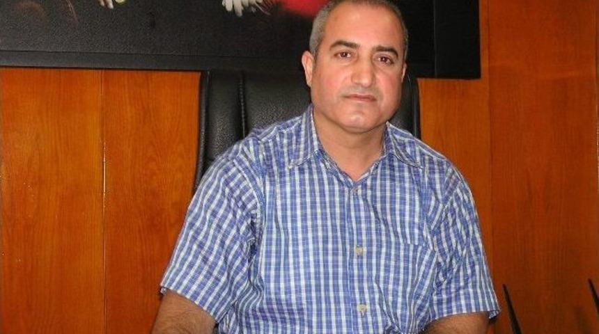 Beydağı Ağa&ccedil;landırıldı