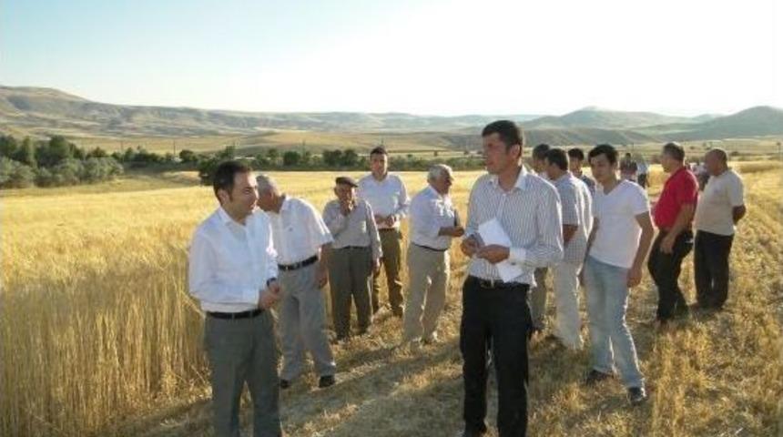 Hekimhan&rsquo;da Tarla G&uuml;n&uuml; D&uuml;zenlendi