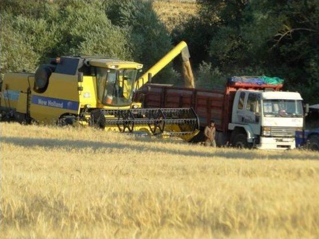 Hekimhan’da Tarla Günü Düzenlendi