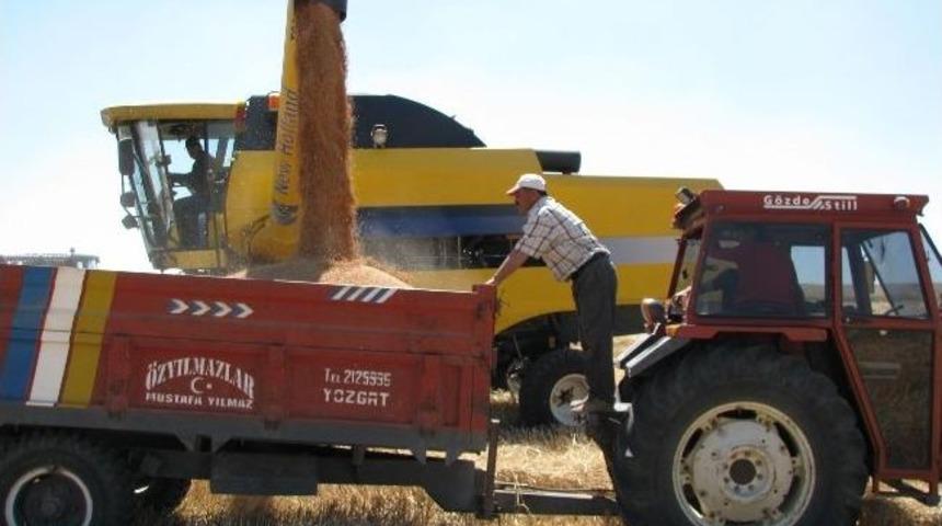 Yozgatlı &Ccedil;ift&ccedil;iler Buğday Rekolteden Memnun, Fiyatlardan Dertli