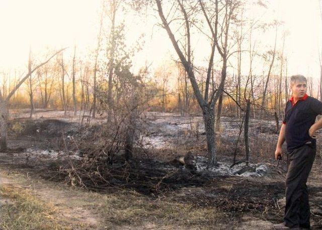 Çaycuma Belediye İtfaiyesi Artan Bahçe Ve Orman Yangınları İle Mücadele Ediyor