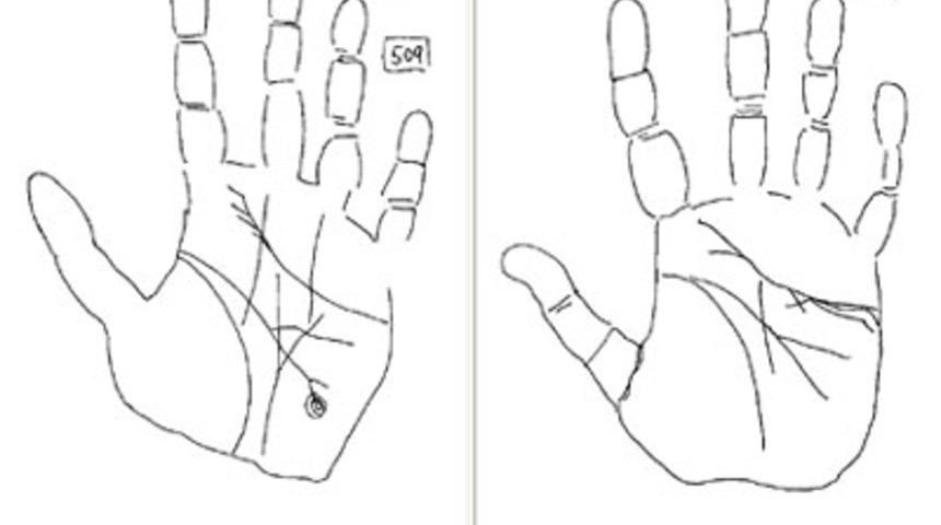 Parmaklara G&ouml;re Karakter Tahlili