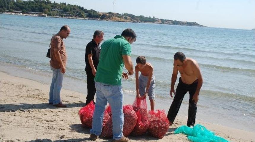 Gelibolu&rsquo;da Midye Operasyonu