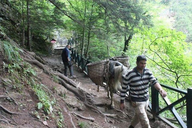 (özel Haber) Sümela Manastırı'ndaki Ayin