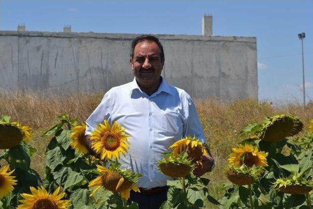 Korkmaz Aday Adaylığı Sinyali Verdi