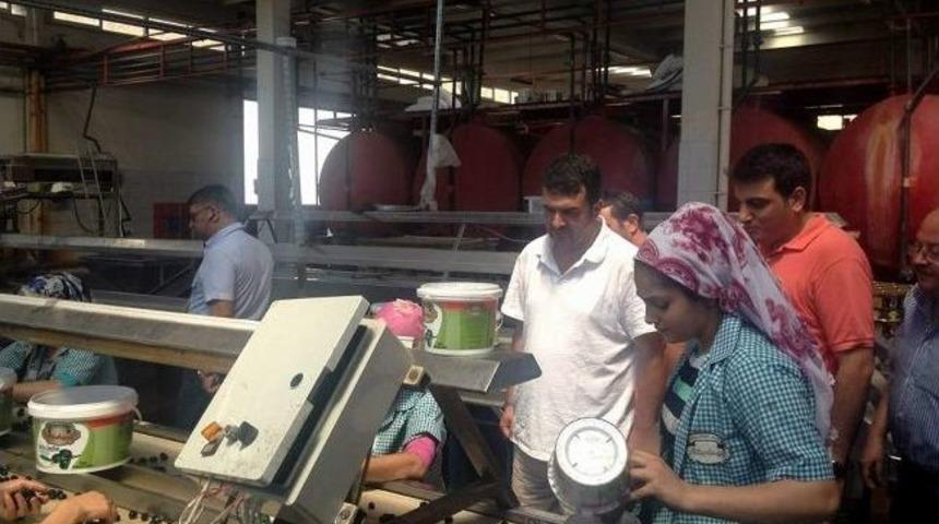 Chp&rsquo;li Baydar, K&ouml;şk&rsquo;&uuml;n Nabzını Tuttu