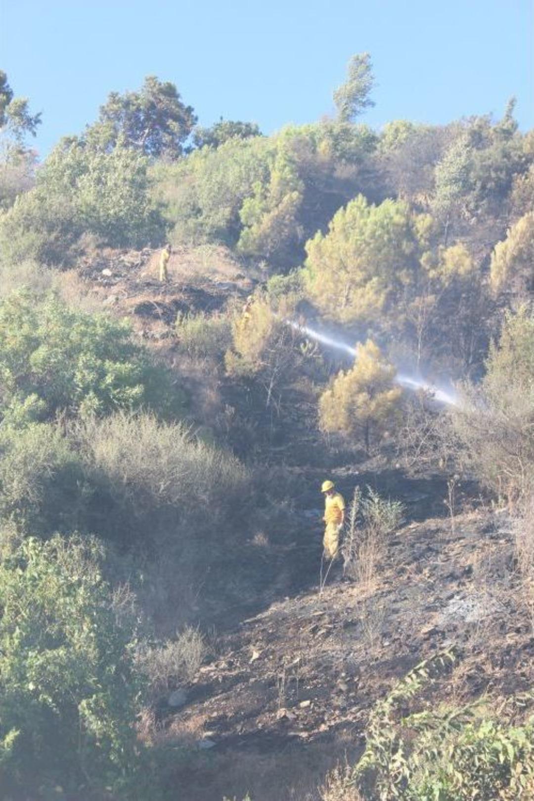 Alanya&rsquo;da Orman Yangını