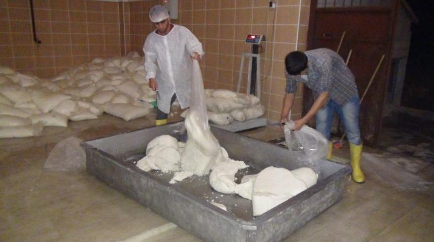 Bitlis&rsquo;ten ABD&rsquo;ye Tulum Peyniri Ihracatı