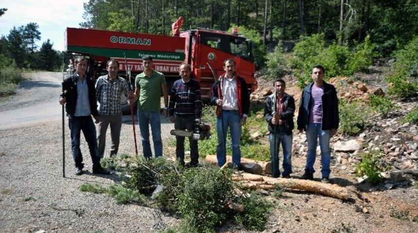 G&uuml;m&uuml;şhane Kent Ormanında &Ouml;kse Otu M&uuml;cadelesi Başladı