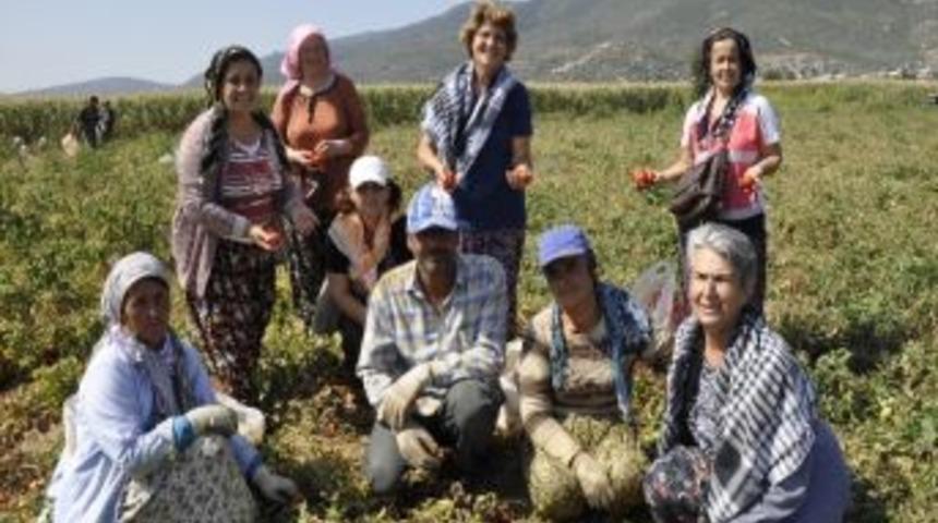 Chp&rsquo;li Kadınlardan Tarlada &Ccedil;alışan Kadınlara Ziyaret