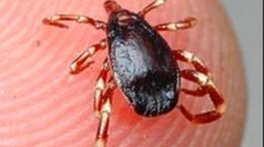 Kenenin ısırdığı kadın &ouml;ld&uuml;