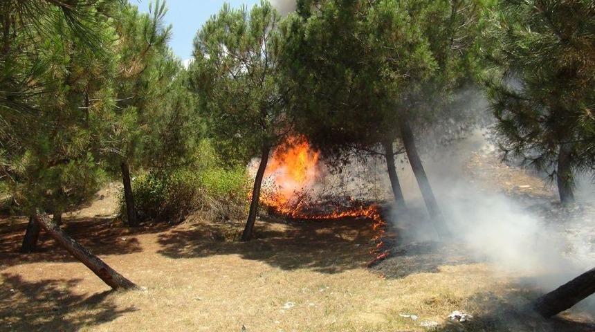 Rastgele Atılan I&ccedil;ki Şişeleri Orman Yaktı
