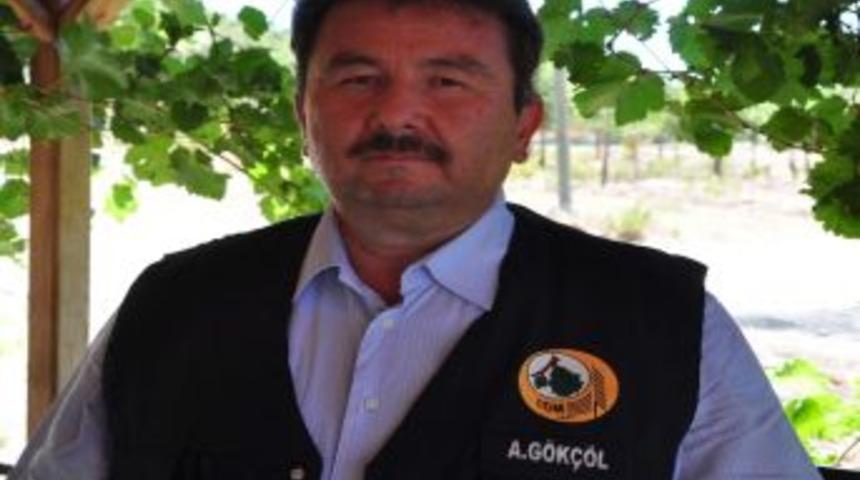 Alanya'daki Yangın Kontrol Altına Alındı