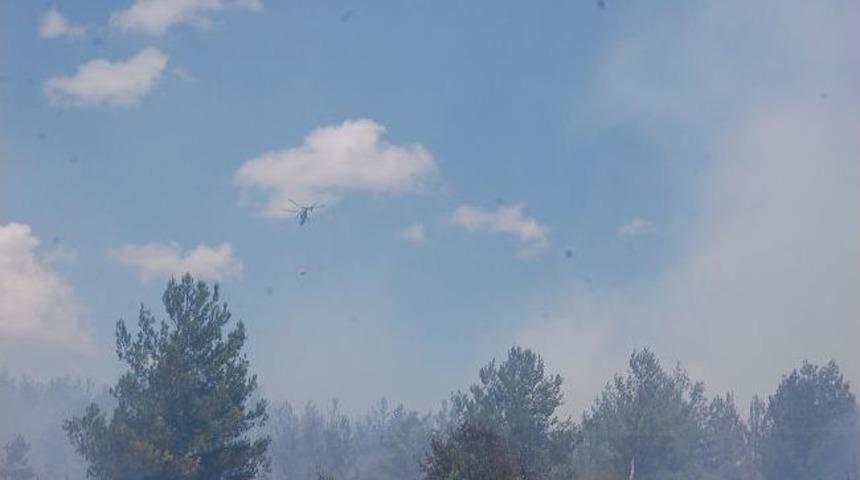 Bursa'da Orman Yangını