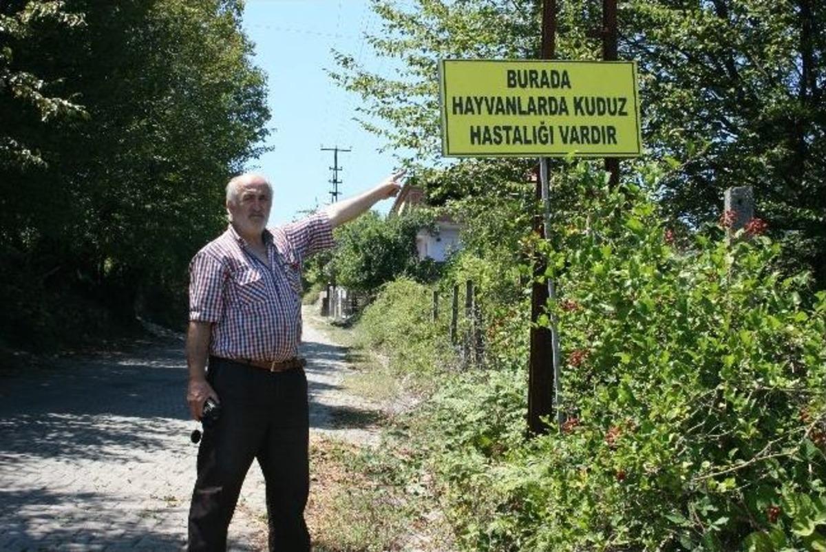 (&ouml;zel Haber) &Ccedil;aycuma'nın Temenler K&ouml;y&uuml;nde Kuduz Karantinası