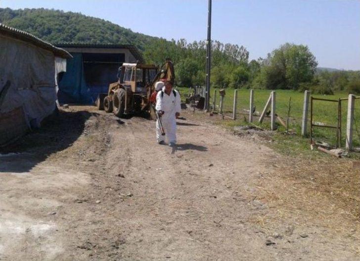 (özel Haber) Çaycuma'nın Temenler Köyünde Kuduz Karantinası G2