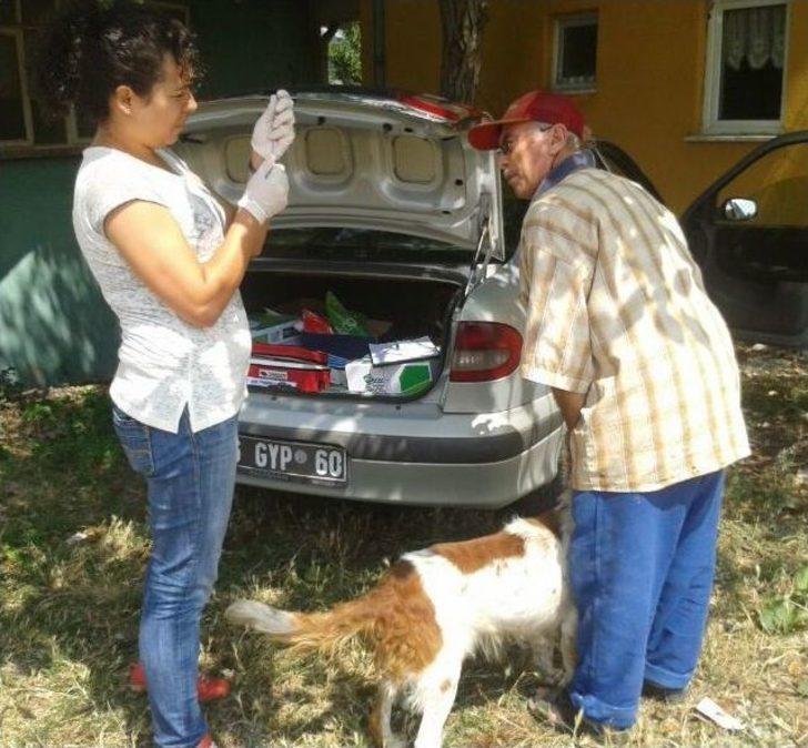 (özel Haber) Çaycuma'nın Temenler Köyünde Kuduz Karantinası G3