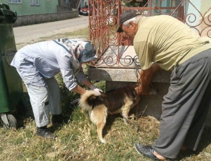 (özel Haber) Çaycuma'nın Temenler Köyünde Kuduz Karantinası G4