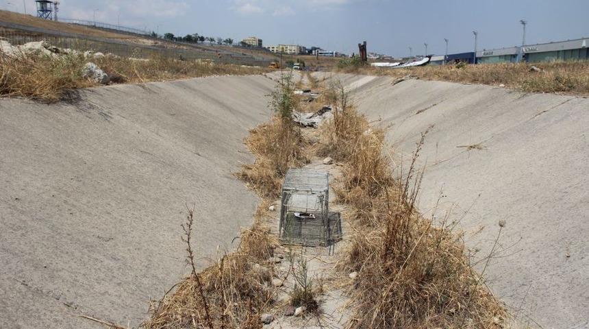 Kayıp Kediler I&ccedil;in Aprona Kafes