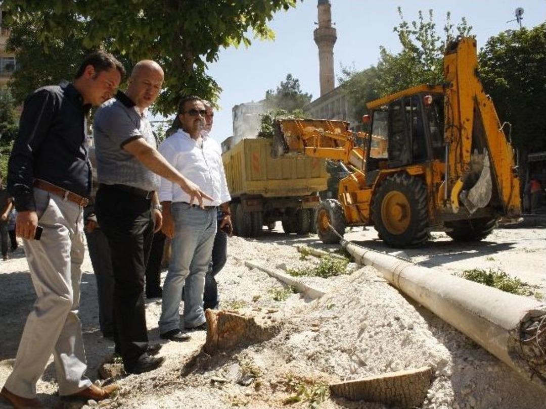 Burdur'da "ağa&ccedil; Kesme" Tartışması