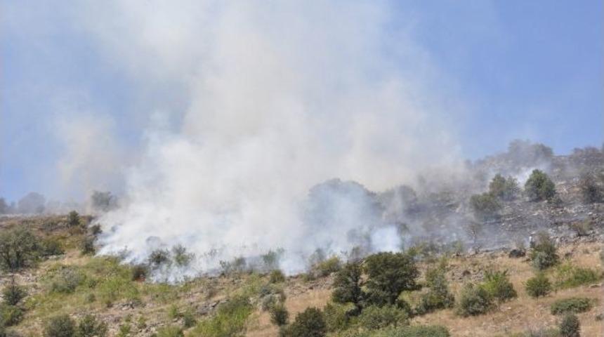 Raylardan Sı&ccedil;rayan Kıvılcım Yangın &Ccedil;ıkardı