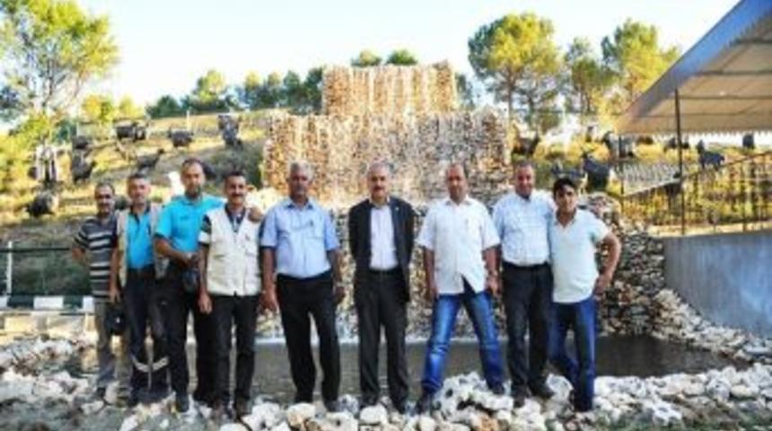 Tosyabelediyesi İlk Yapay Şelaleyi Hizmete Soktu