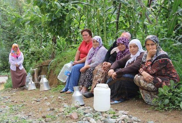 Susuz Köyün Bidonlu Orkestrası