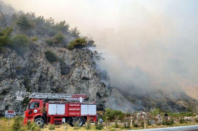 Söke’de Orman Yangını