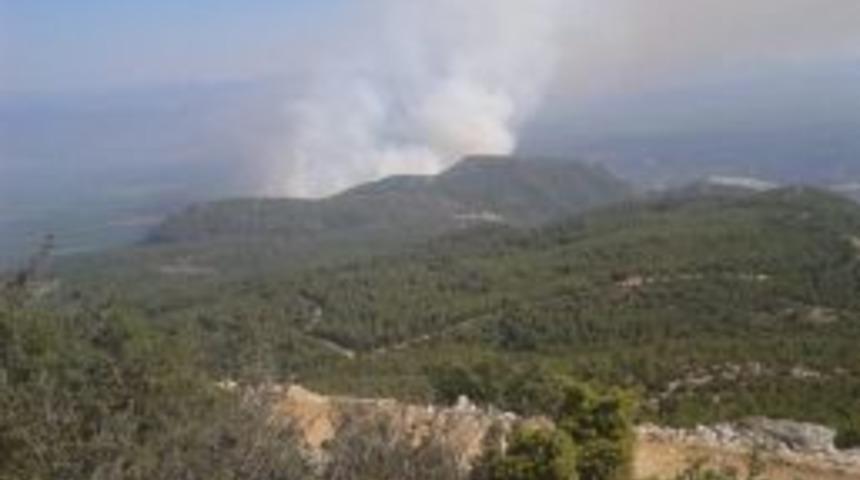 S&ouml;ke'de Orman Yangını