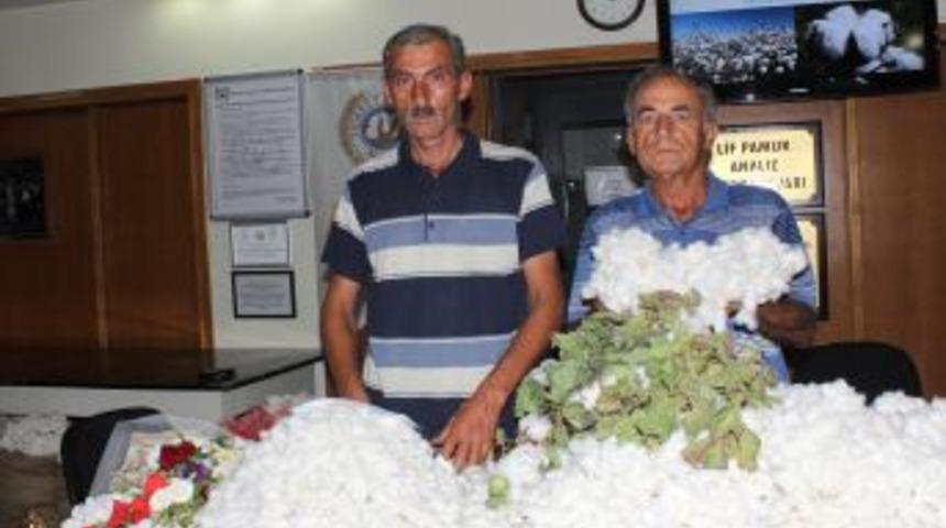 AK Partli Soylu: Ekonomide Altın Dengeyi Kurmaya Gayret Ediyoruz