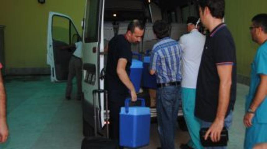 Organları İstanbul Ve Antalya'daki Hastalara Umut Oldu