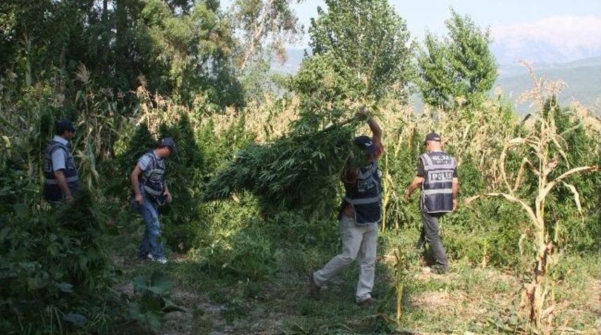 Fethiye&rsquo;de Uyuşturucu Operasyonu