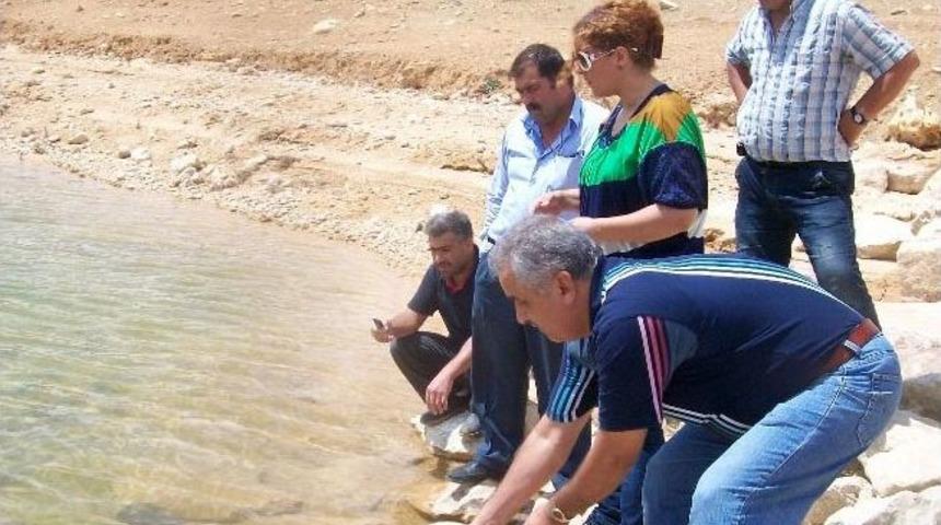 Karaman&rsquo;da G&ouml;letlere 30 Bin Balık Bırakıldı