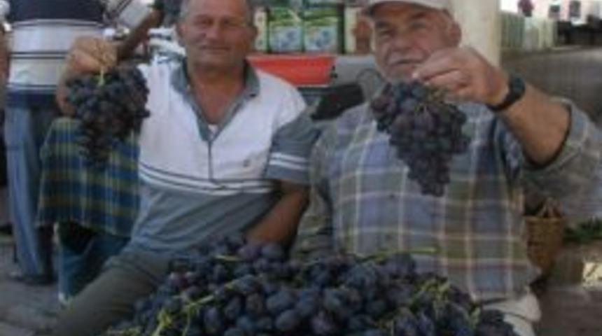 Kilis'te Horozkarası &Uuml;z&uuml;m&uuml; &Ccedil;ıktı