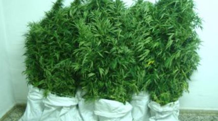 &Ccedil;anakkale'de Uyuşturucu Operasyonu