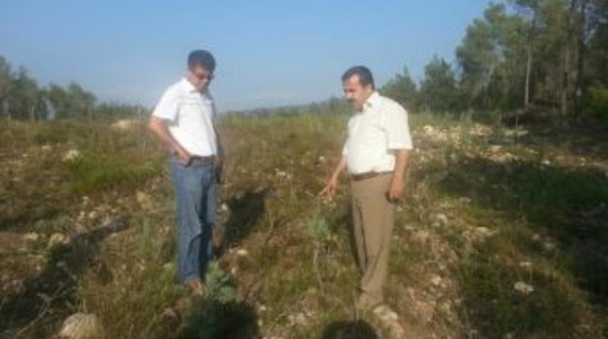 Yardop İle Yangınlara Set &Ccedil;ekiliyor